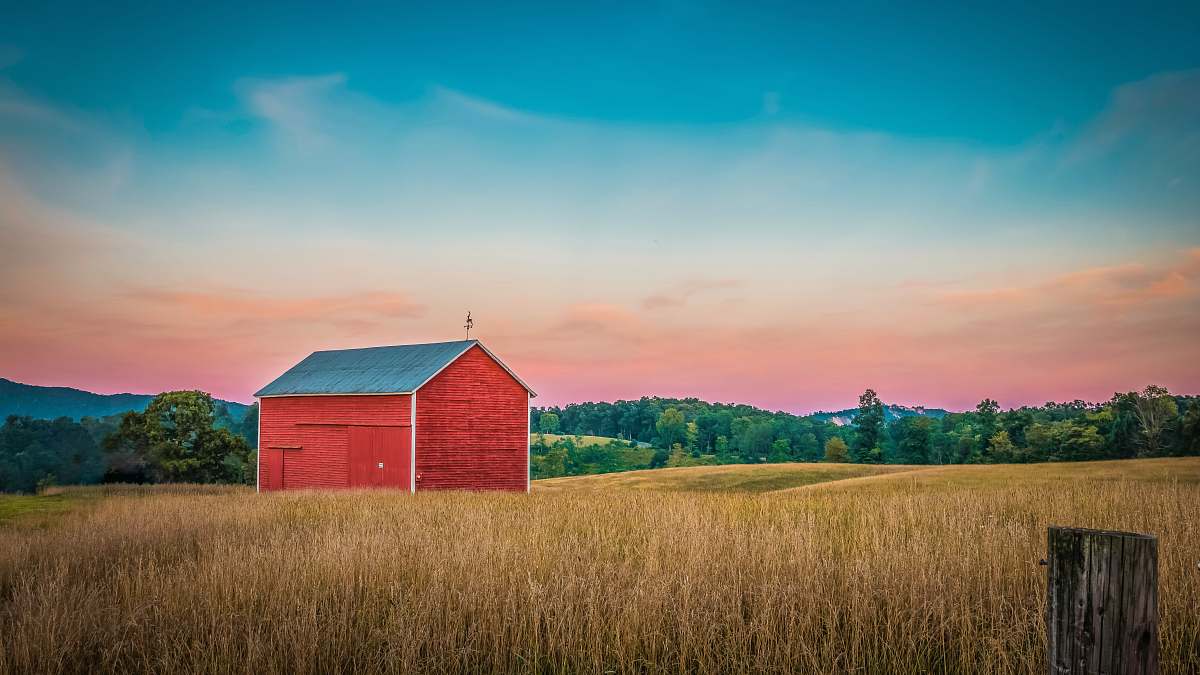 united states red barn house surrounded with trees during golden hour field